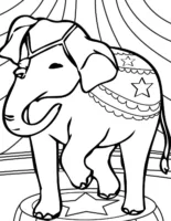 Elefante no circo para colorir