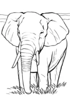Elefante realista para imprimir