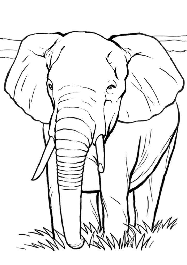 elefante realista para imprimir